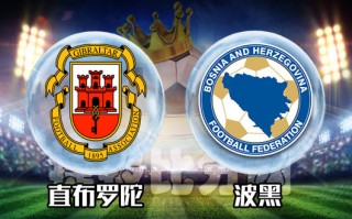 美国vs波黑比分(波黑与美国)