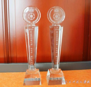 国内更好足球学校排名(国内更好足球学校排名榜)