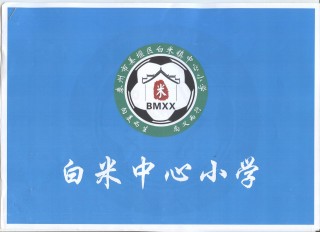 班级足球队队旗(班级足球队队旗设计图)