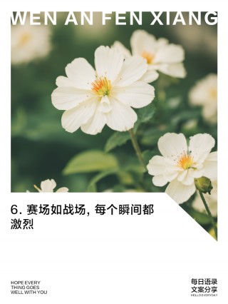 关于足球的诗歌词句(关于足球的诗歌词句有哪些)
