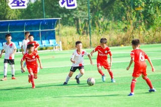 崇明根宝足球基地(崇明根宝足球基地对外开放吗)