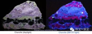 数码vs晶码(晶码战士数码机)
