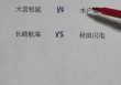 熊本vs京都直播(kards熊本联队)