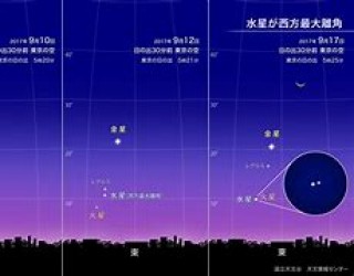 包含2018.6.5水星VS自由的词条