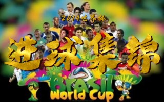 2014足球进球(2014年足球比赛)