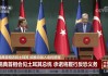 2018瑞典vs土耳其的简单介绍