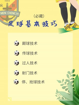 足球颠球技巧(足球颠球技巧视频)