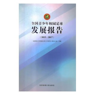足球领导小组(足球队领队职责)