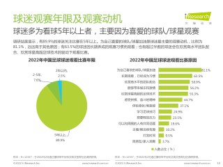 足球球迷巾(足球球迷壁纸)