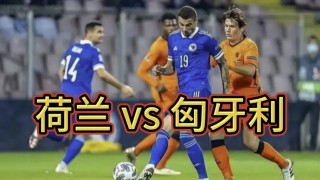 匈牙利vs克罗地亚比赛分析(匈牙利vs克罗地亚比赛分析报告)
