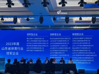 足球体育公司(足球体育公司排名)