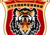 沈阳足球队(沈阳足球队叫什么名字)