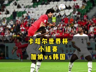 韩国vs卡塔尔首发(韩国vs卡塔尔历史战绩)