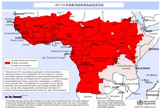 埃及vs刚果预测(埃及vs刚果预测分析)