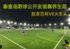 野球足球(野球足球班子起队名叫什么)