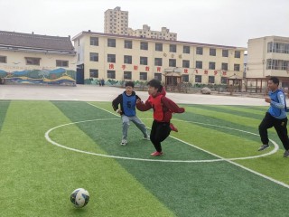 临颍县足球(临颍县足球场地设施建设项目中标单位)