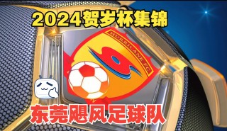东莞足球队排名(东莞足球队排名榜)