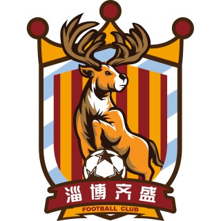 足球俱乐部有限公司(吴川青年足球俱乐部有限公司)