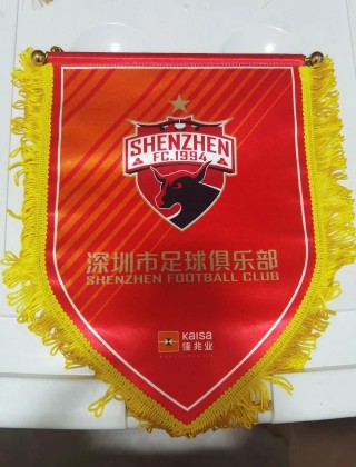 深圳足球门票(深圳足球门票购买)