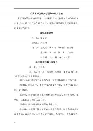 足球发展纲要(中国足球发展纲要)