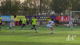 东莞东城足球场(东莞东城体育公园足球场)