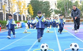 学看足球(看足球入门)