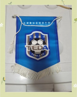 泰达足球队降级(泰达足球队降级了吗)