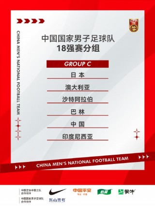 职业足球世界排名2015(2015年世界足球更佳阵容)