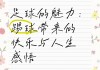 足球人生感悟(足球人生感悟心得体会)