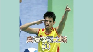 因达农vs林丹(林丹因达农表演赛)