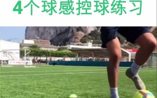 足球控球技术(足球控球技术包括哪些)