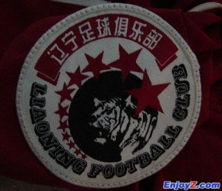 辽宁足球破产(辽宁足球俱乐部股份有限公司)