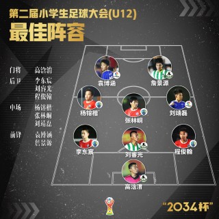 全运会为什么没有足球(全运会为什么没有足球比赛)
