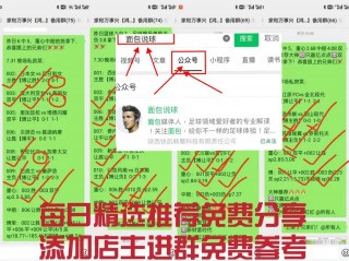 新西兰vs秘鲁分析(新西兰vs秘鲁分析图)