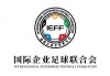 足球协会属于(足球协会属于什么性质)