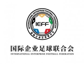 足球协会属于(足球协会属于什么性质)