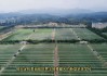 贵阳恒大足球学校(贵阳恒大足球场项目进展图片)
