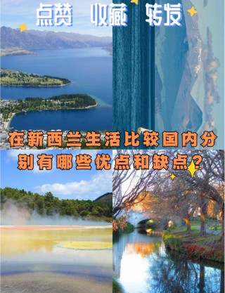 墨西哥vs新西兰视频(新墨西哥联vs科罗拉多)