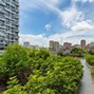 深圳卓能足球(深圳市卓能建筑工程有限公司)