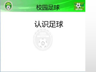 认识足球(认识足球PPT)