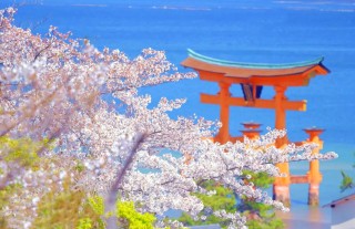 广岛vs婴花(广岛三箭vs大阪樱花比分预测)