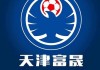 天津坤晟足球队(天津坤晟足球俱乐部)