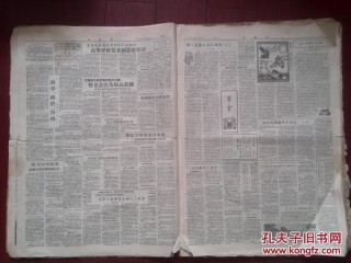 高龙足球(高龙足球运动员)