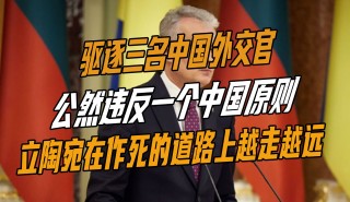 中华白vs立陶宛的简单介绍