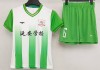 绿色队服的足球队(绿色队服的足球队是谁)
