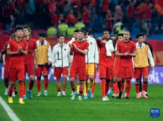 中国队足球世界杯(中国队足球世界杯冠军)
