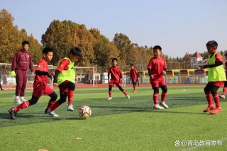 海牛足球俱乐部(海牛足球俱乐部赛程2024)