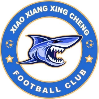 湘涛足球俱乐部(湘涛足球俱乐部大股东)