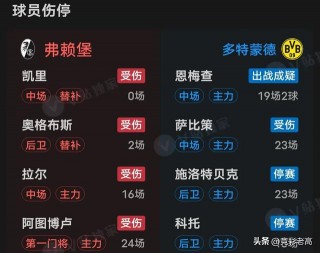 弗赖堡vs多特蒙德预测(弗赖堡vs菲尔特比分预测)