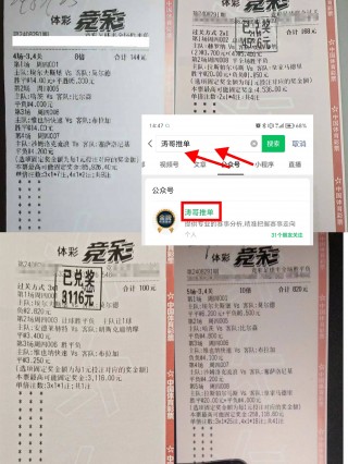 预测中国vs塞尔维亚(中国对塞尔维亚女篮预测)